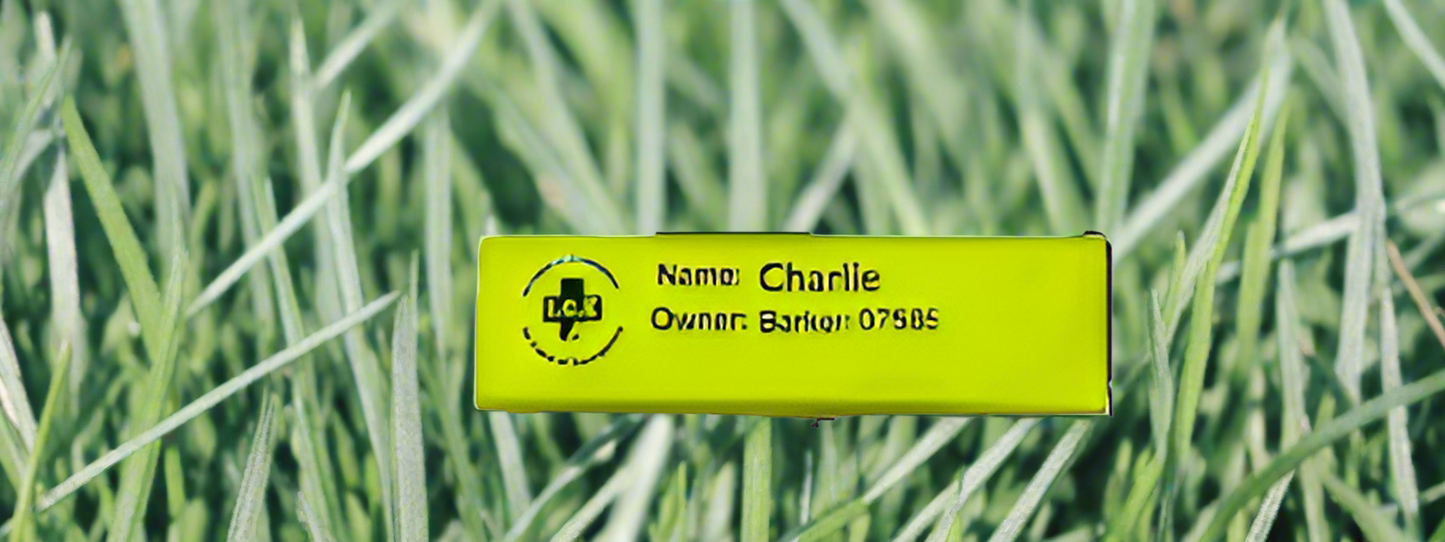 🐴 Equine ICE Tag – Emergency Contact ID for Your Horse