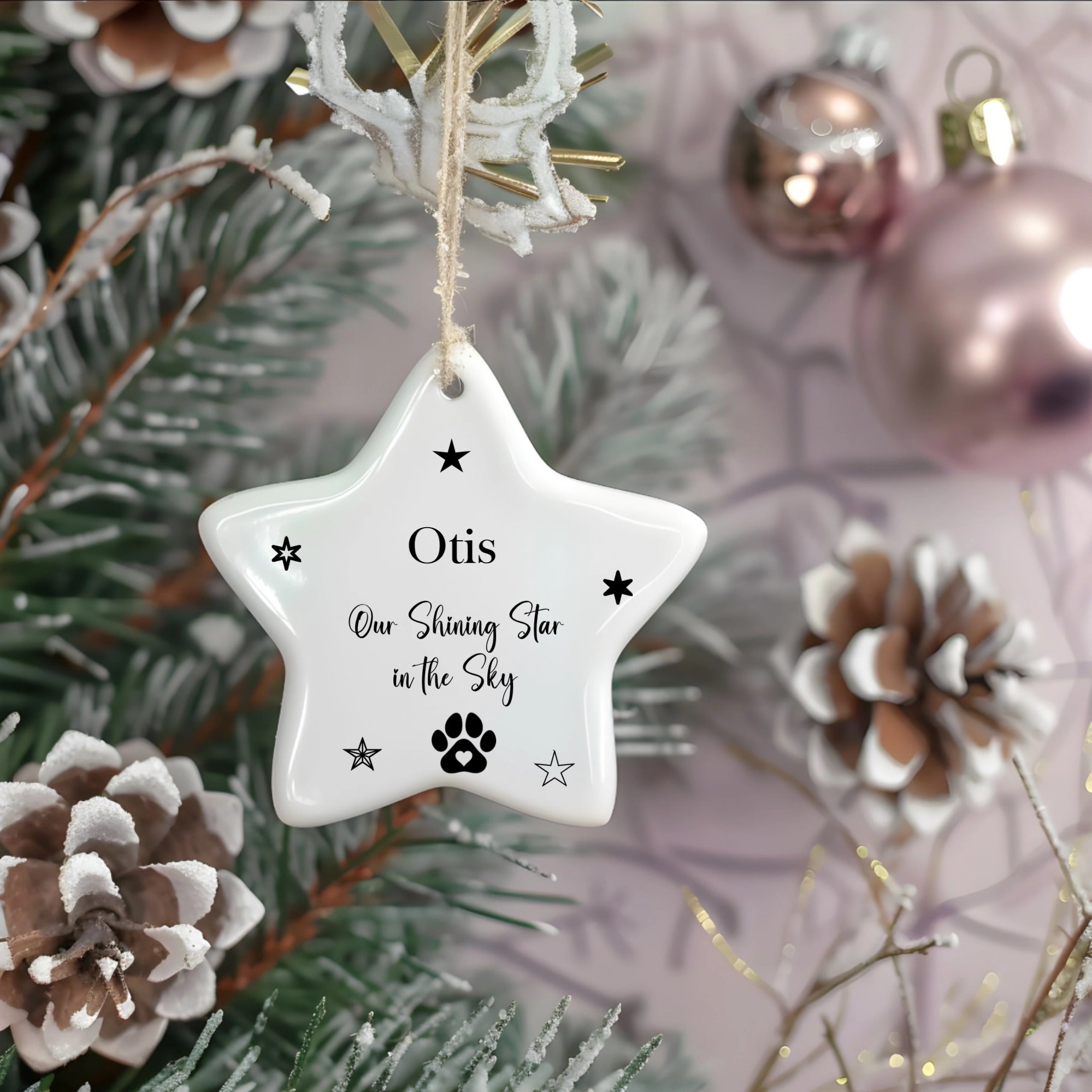 Personalised Pet Memorial Star Ornament – Ceramic Keepsake