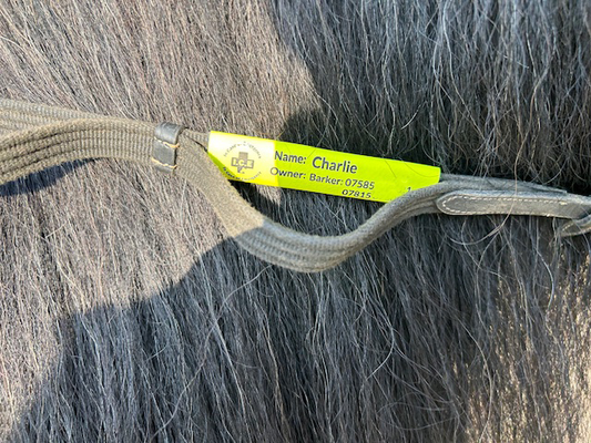 🐴 Equine ICE Tag – Emergency Contact ID for Your Horse