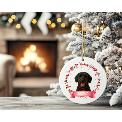 Personalised Photo enhanced ceramic pet ornament