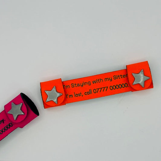 🐾 “Staying With” Laser-Engraved Pet Tag – Temporary ID for Holidays &amp; Pet Sitting
